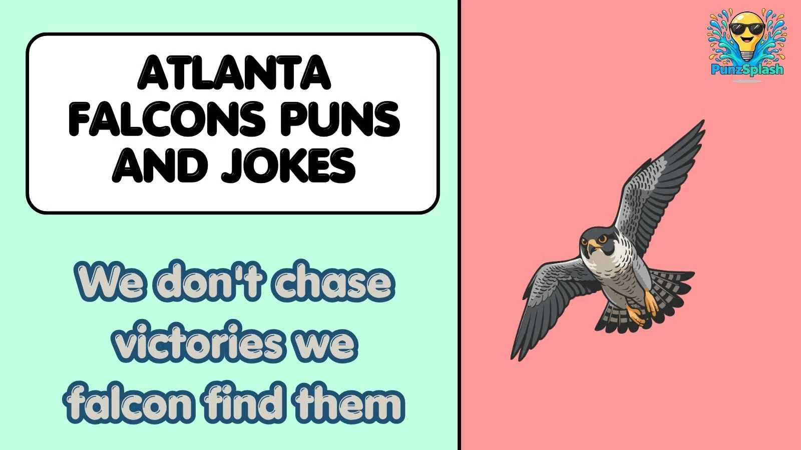 Atlanta Falcons Puns and Jokes