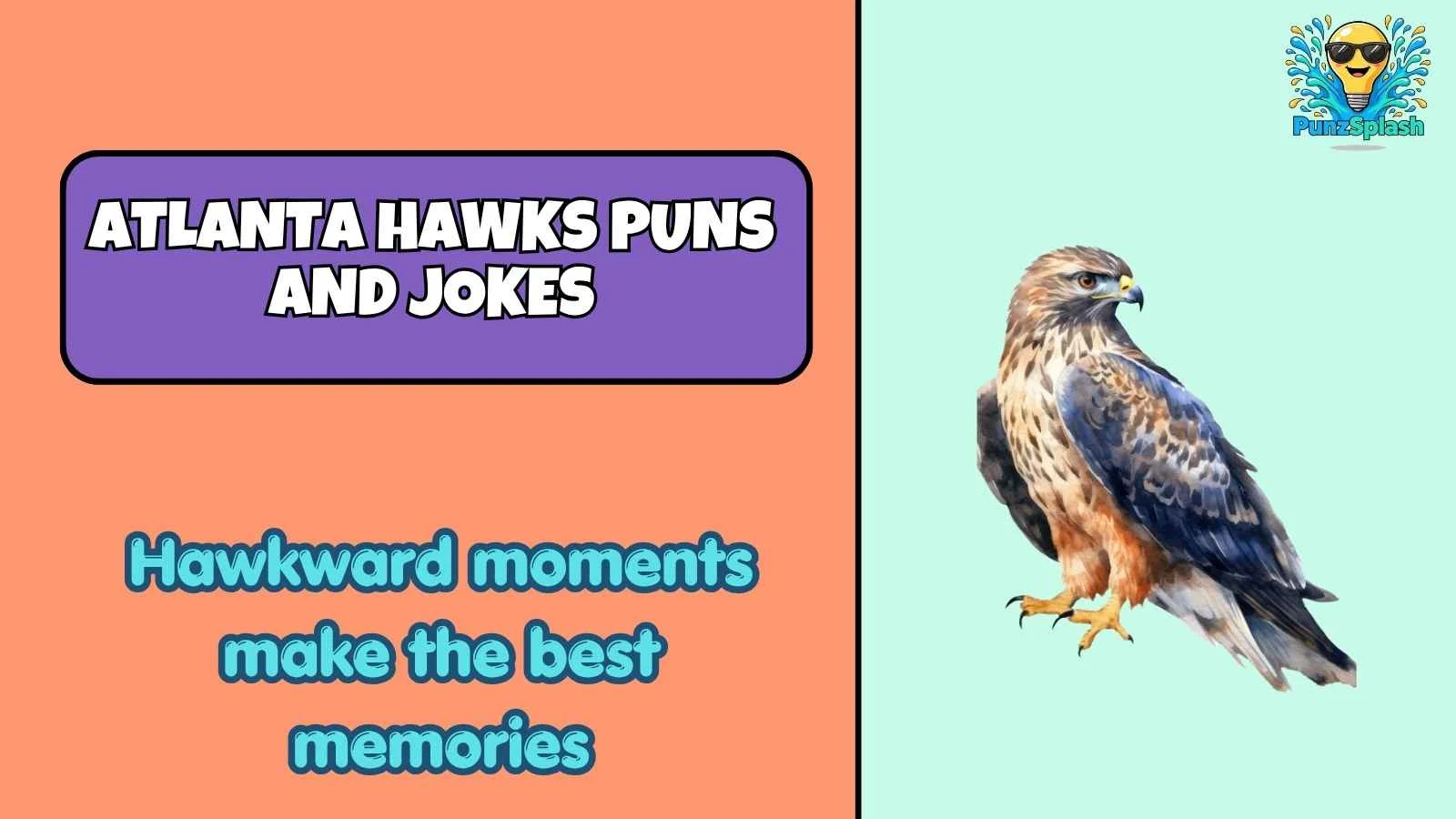 Atlanta Hawks Puns and Jokes