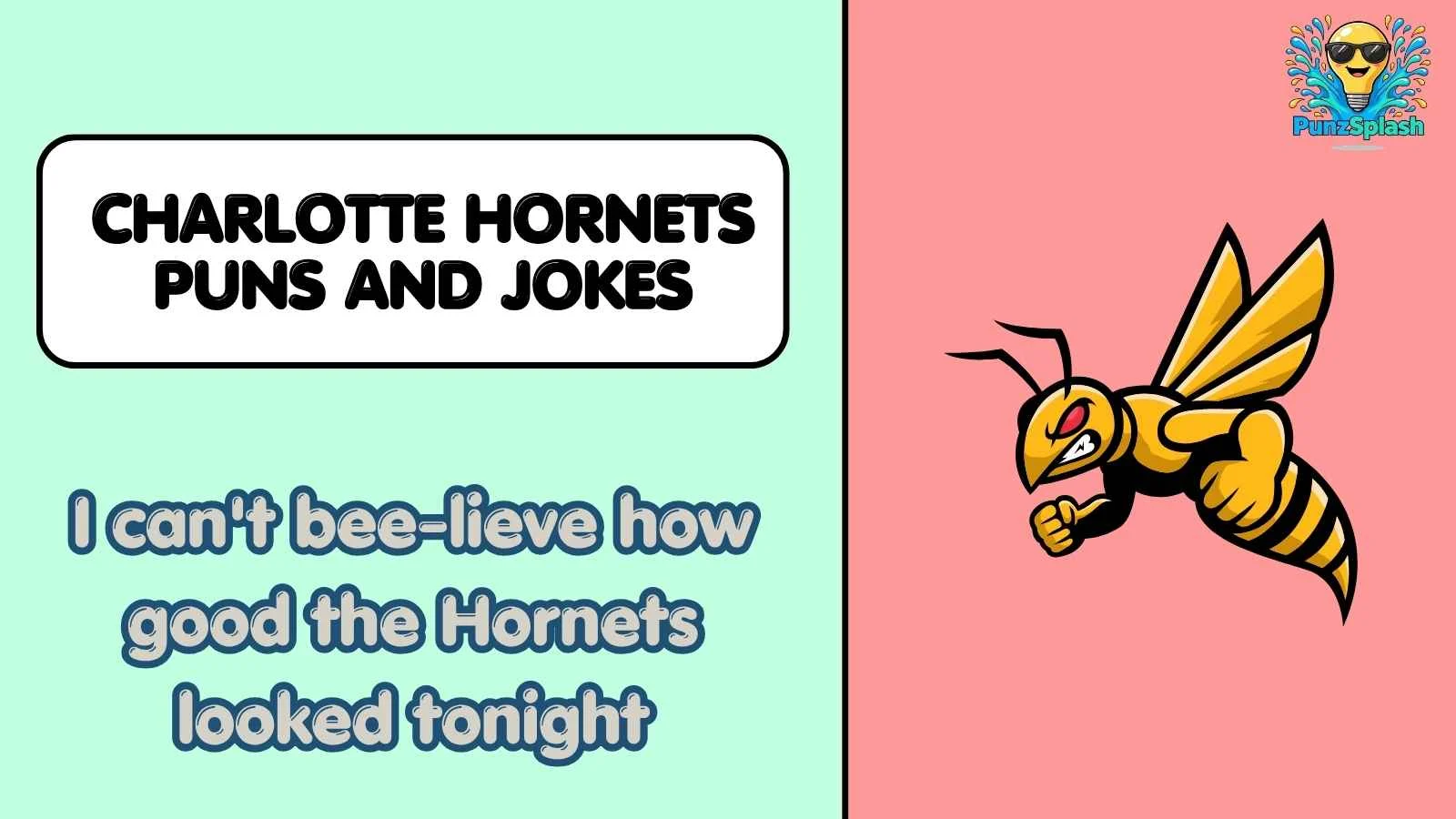 Charlotte Hornets Puns and Jokes