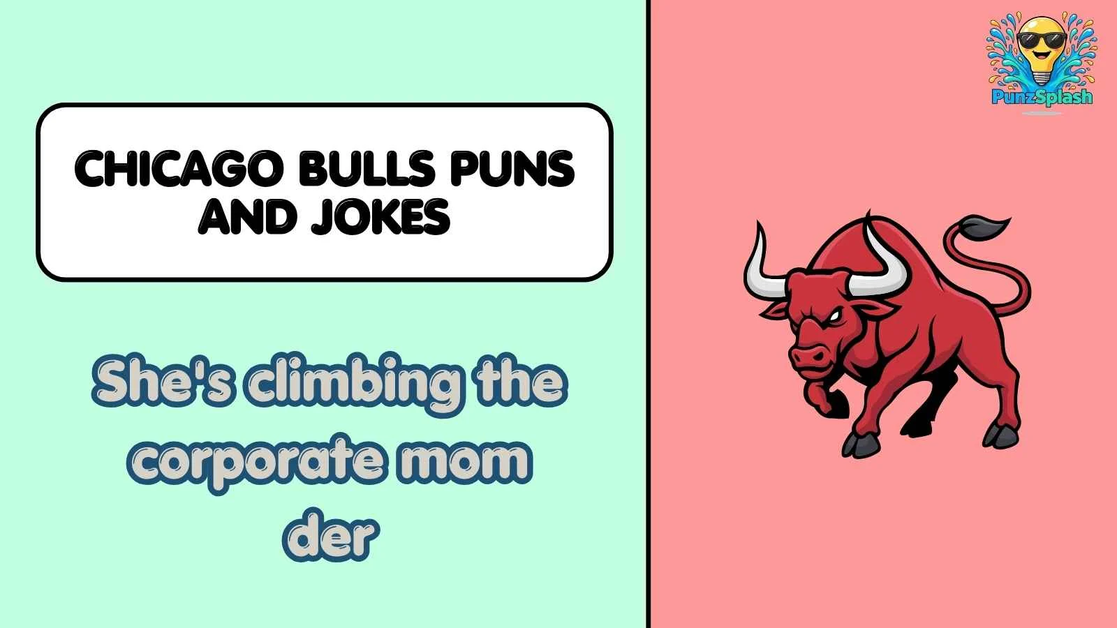Chicago Bulls Puns and Jokes