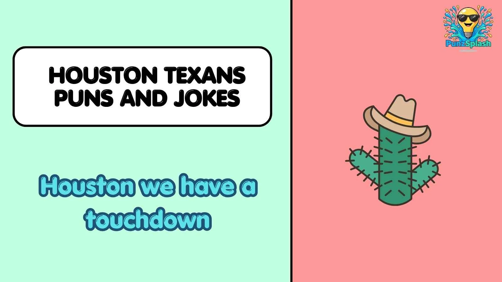 Houston Texans Puns and Jokes
